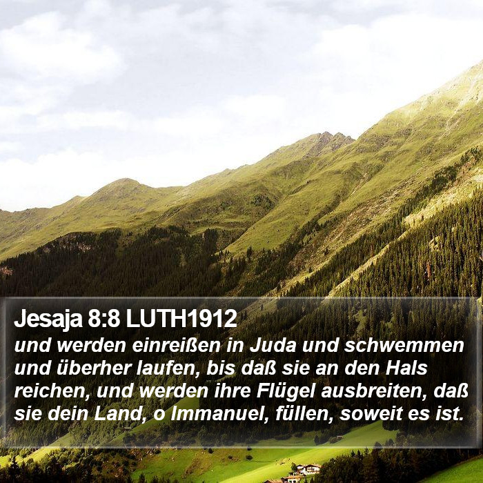 Jesaja 8:8 LUTH1912 Bible Study