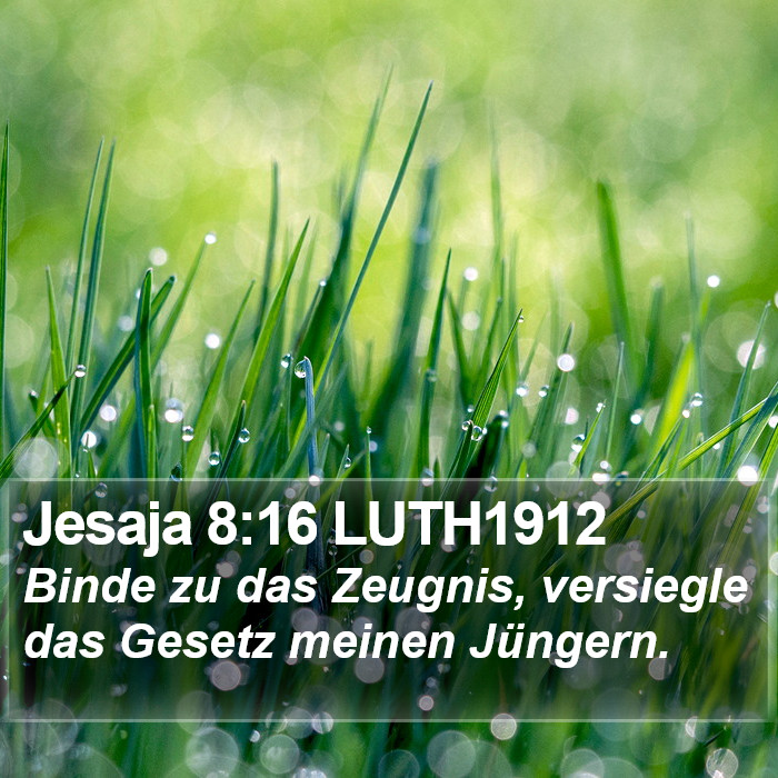 Jesaja 8:16 LUTH1912 Bible Study