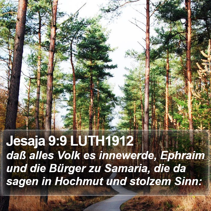 Jesaja 9:9 LUTH1912 Bible Study