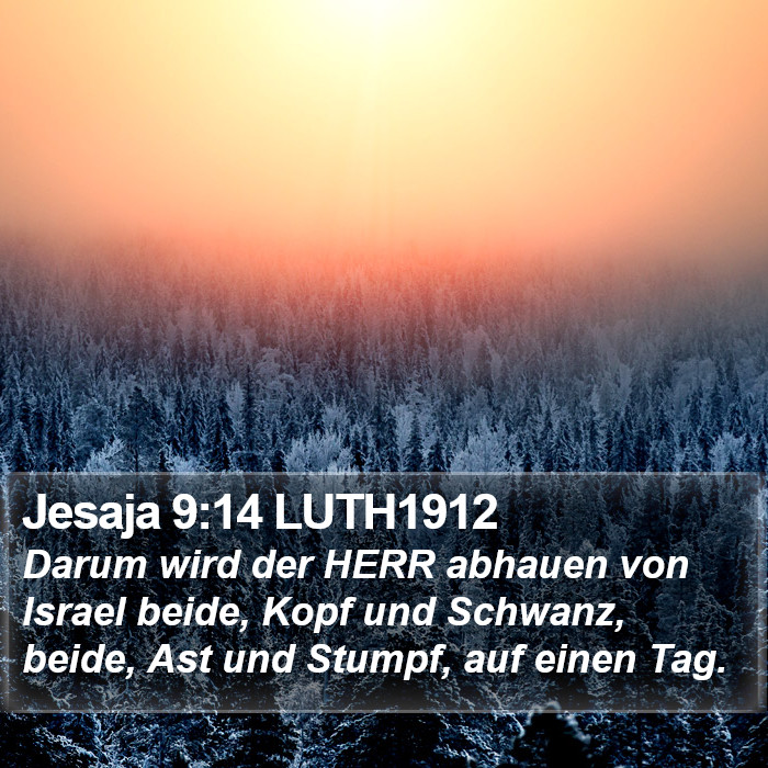 Jesaja 9:14 LUTH1912 Bible Study