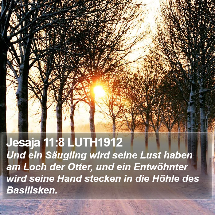 Jesaja 11:8 LUTH1912 Bible Study