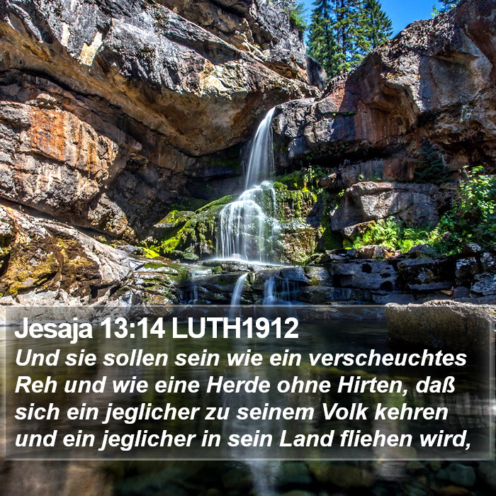 Jesaja 13:14 LUTH1912 Bible Study