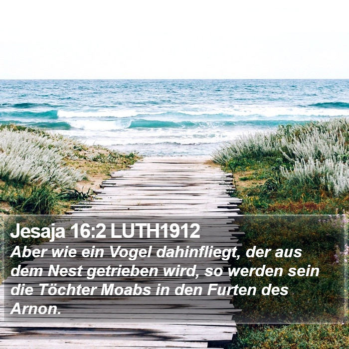 Jesaja 16:2 LUTH1912 Bible Study