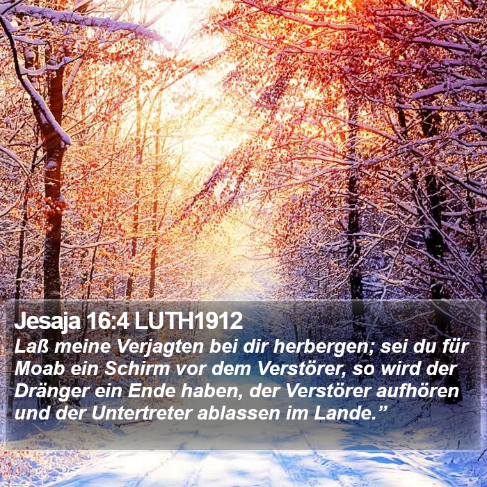 Jesaja 16:4 LUTH1912 Bible Study