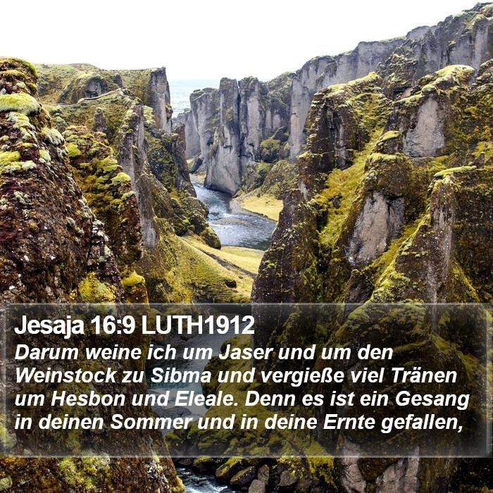 Jesaja 16:9 LUTH1912 Bible Study