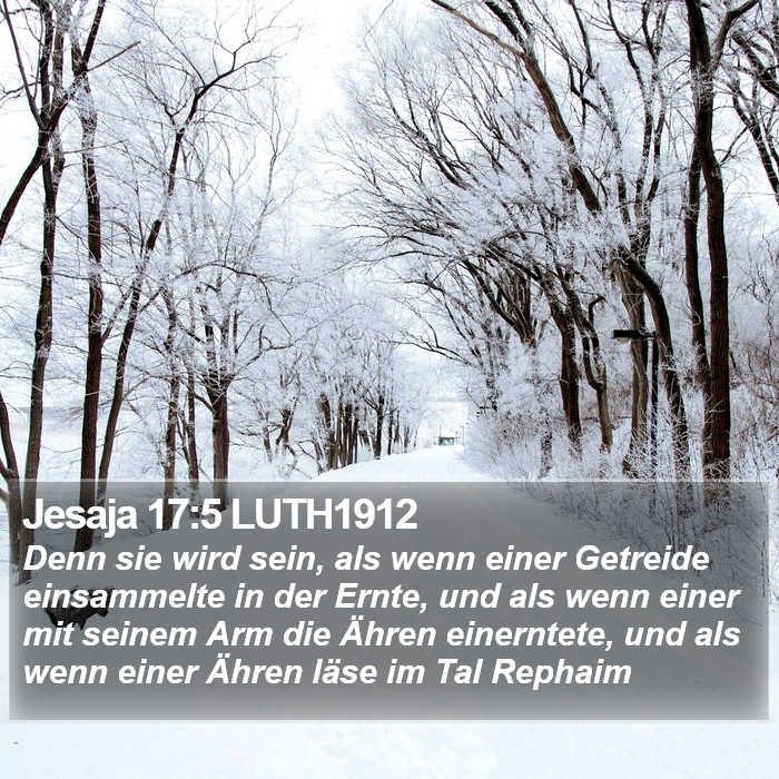 Jesaja 17:5 LUTH1912 Bible Study