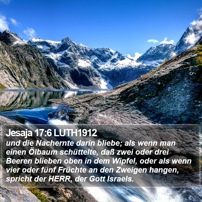 Jesaja 17:6 LUTH1912 Bible Study