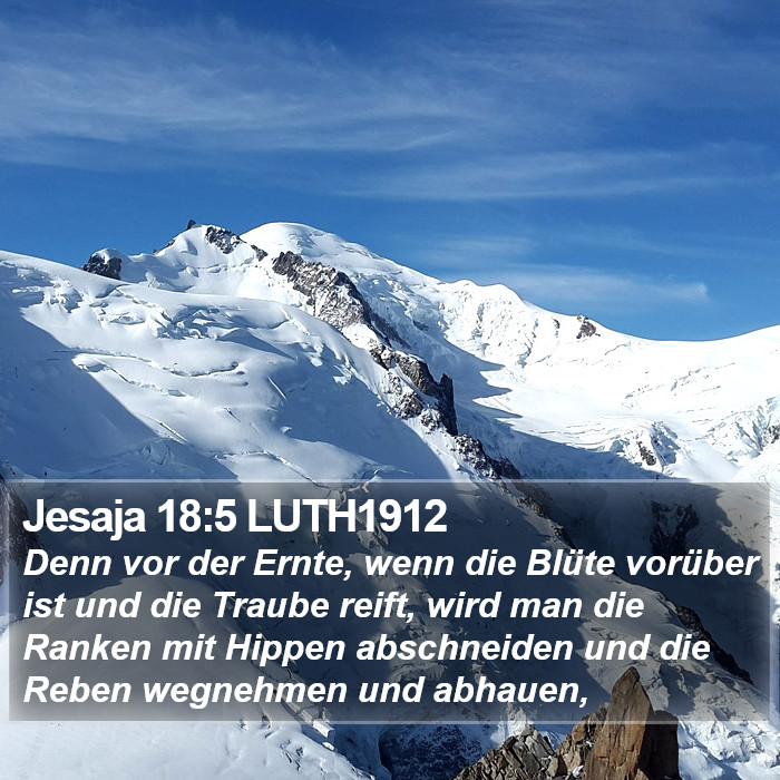 Jesaja 18:5 LUTH1912 Bible Study