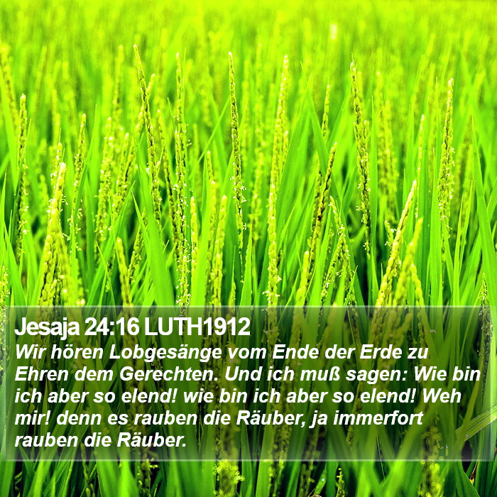 Jesaja 24:16 LUTH1912 Bible Study