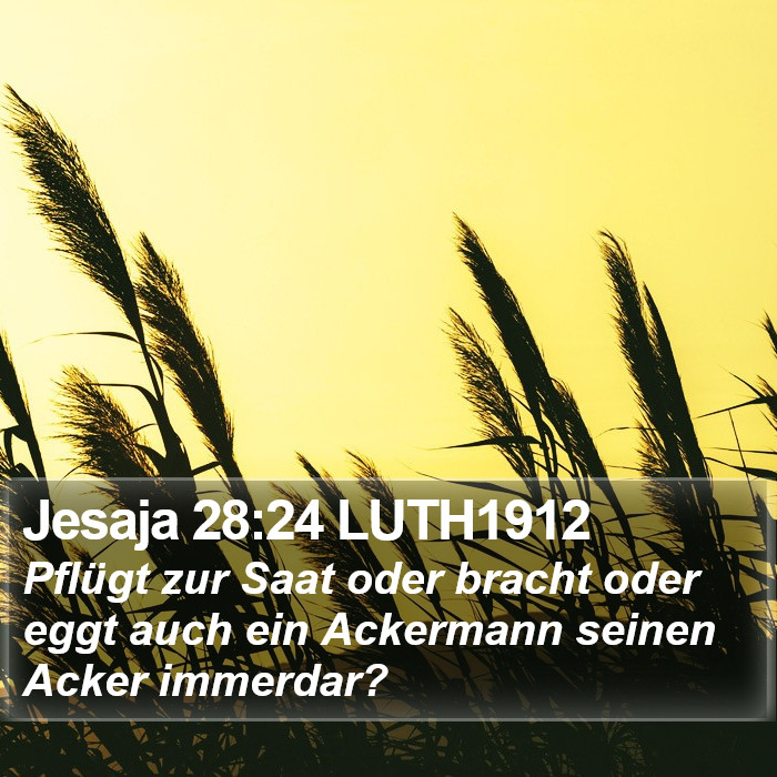 Jesaja 28:24 LUTH1912 Bible Study