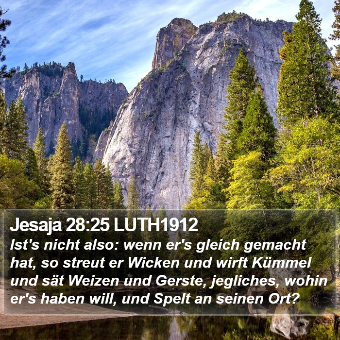 Jesaja 28:25 LUTH1912 Bible Study