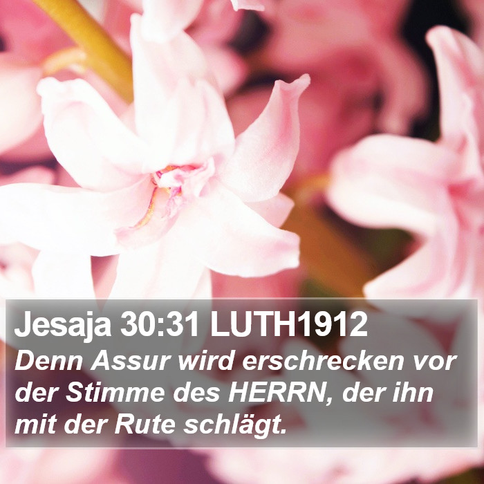 Jesaja 30:31 LUTH1912 Bible Study