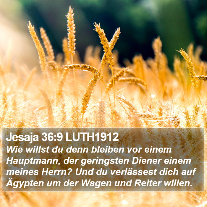 Jesaja 36:9 LUTH1912 Bible Study