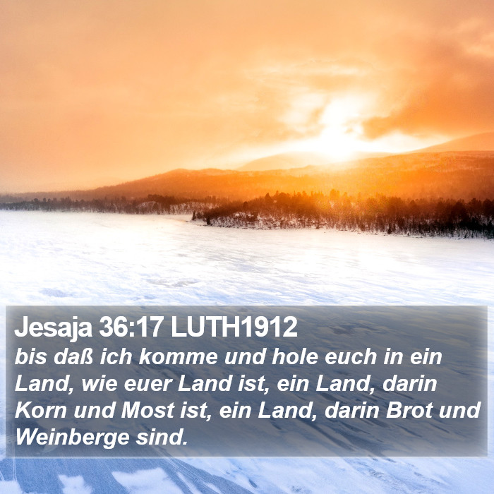 Jesaja 36:17 LUTH1912 Bible Study