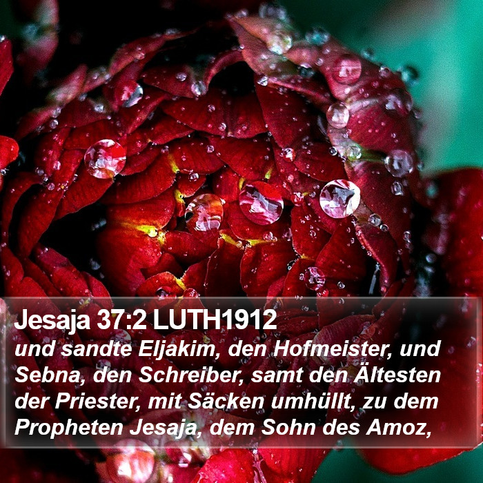 Jesaja 37:2 LUTH1912 Bible Study