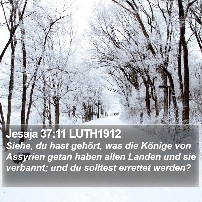 Jesaja 37:11 LUTH1912 Bible Study