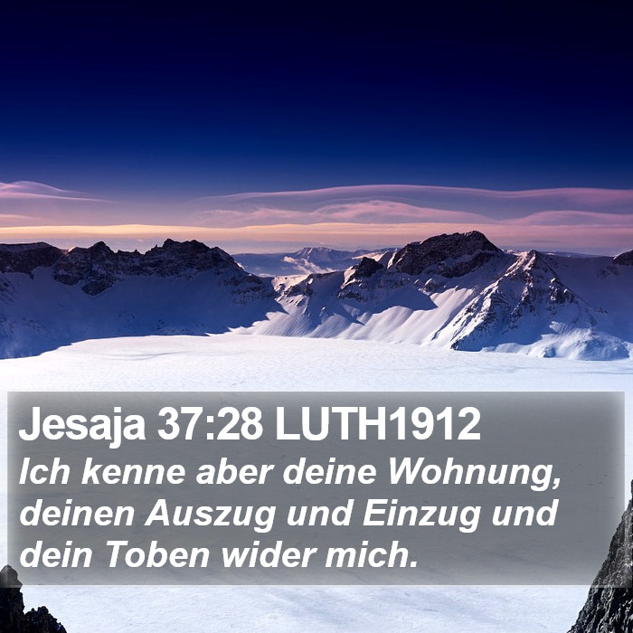 Jesaja 37:28 LUTH1912 Bible Study
