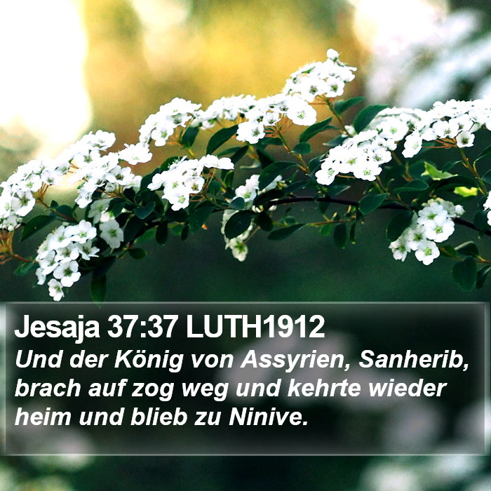 Jesaja 37:37 LUTH1912 Bible Study