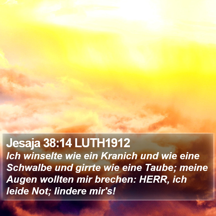 Jesaja 38:14 LUTH1912 Bible Study