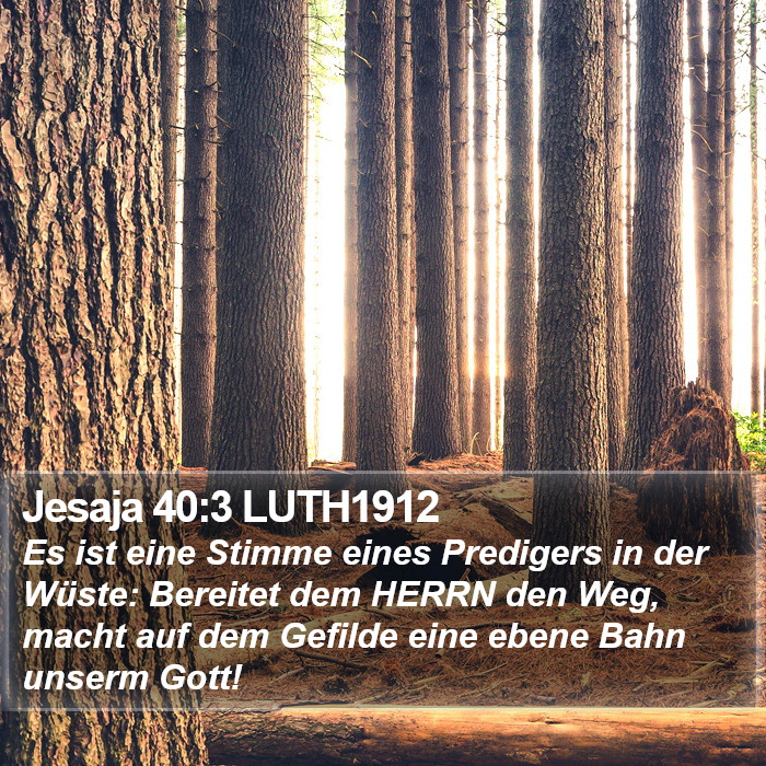 Jesaja 40:3 LUTH1912 Bible Study