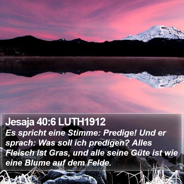 Jesaja 40:6 LUTH1912 Bible Study