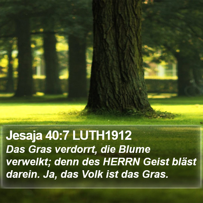 Jesaja 40:7 LUTH1912 Bible Study