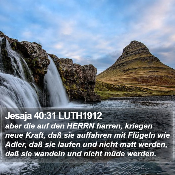 Jesaja 40:31 LUTH1912 Bible Study