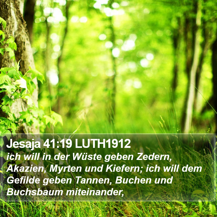 Jesaja 41:19 LUTH1912 Bible Study
