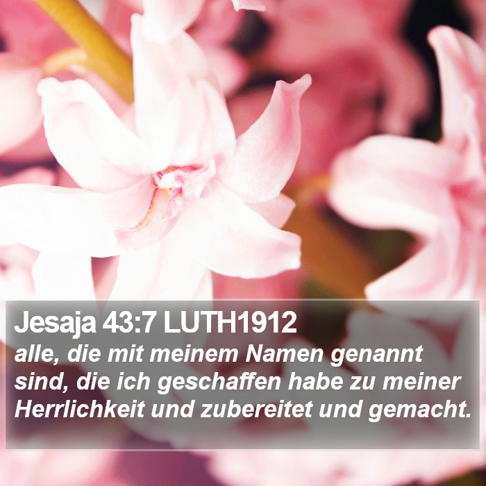 Jesaja 43:7 LUTH1912 Bible Study