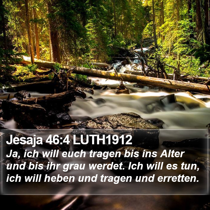 Jesaja 46:4 LUTH1912 Bible Study