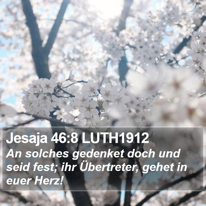 Jesaja 46:8 LUTH1912 Bible Study