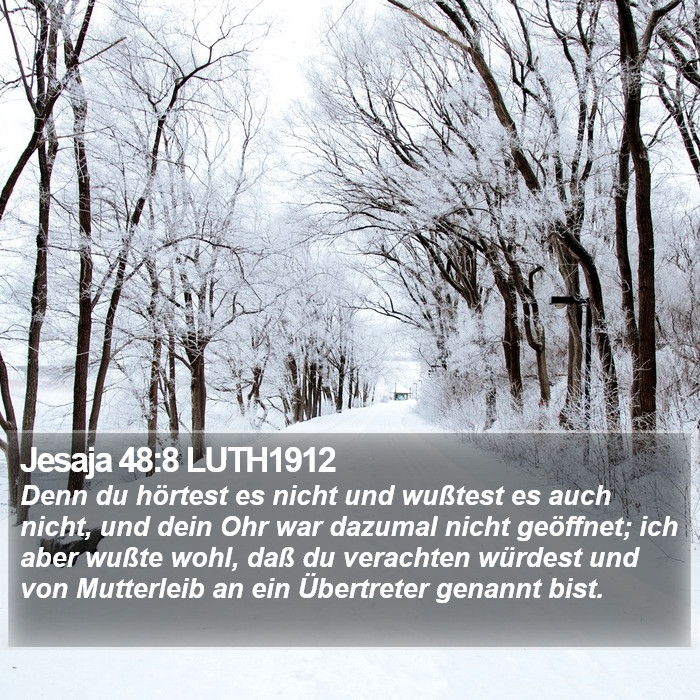 Jesaja 48:8 LUTH1912 Bible Study