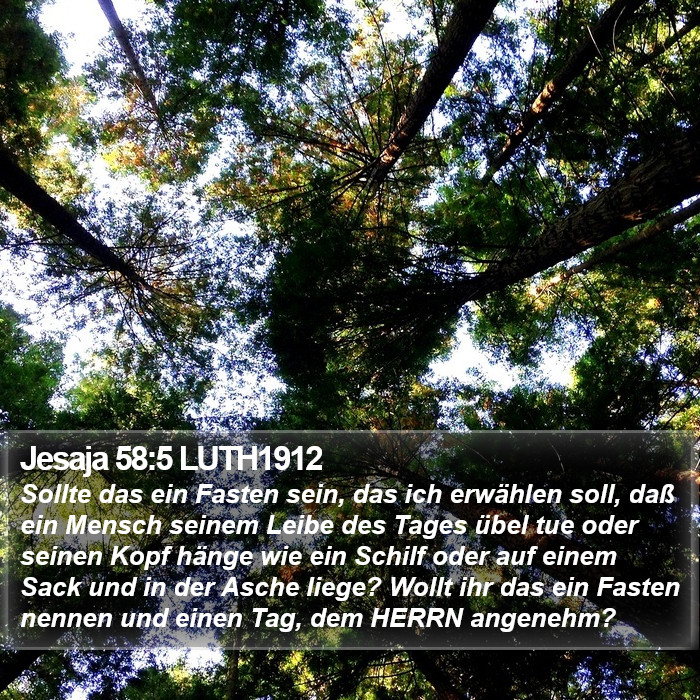 Jesaja 58:5 LUTH1912 Bible Study