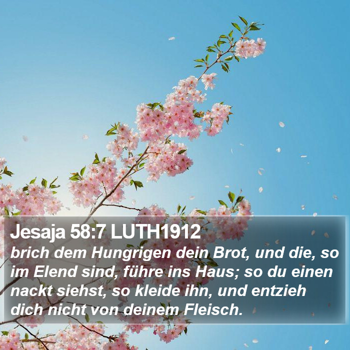 Jesaja 58:7 LUTH1912 Bible Study
