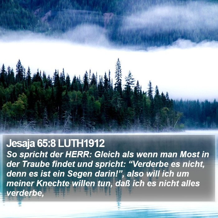 Jesaja 65:8 LUTH1912 Bible Study