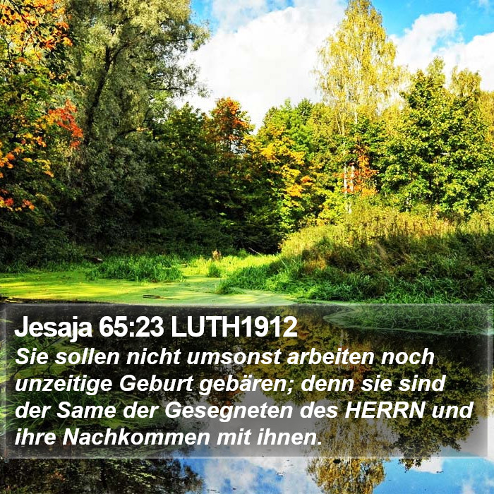 Jesaja 65:23 LUTH1912 Bible Study