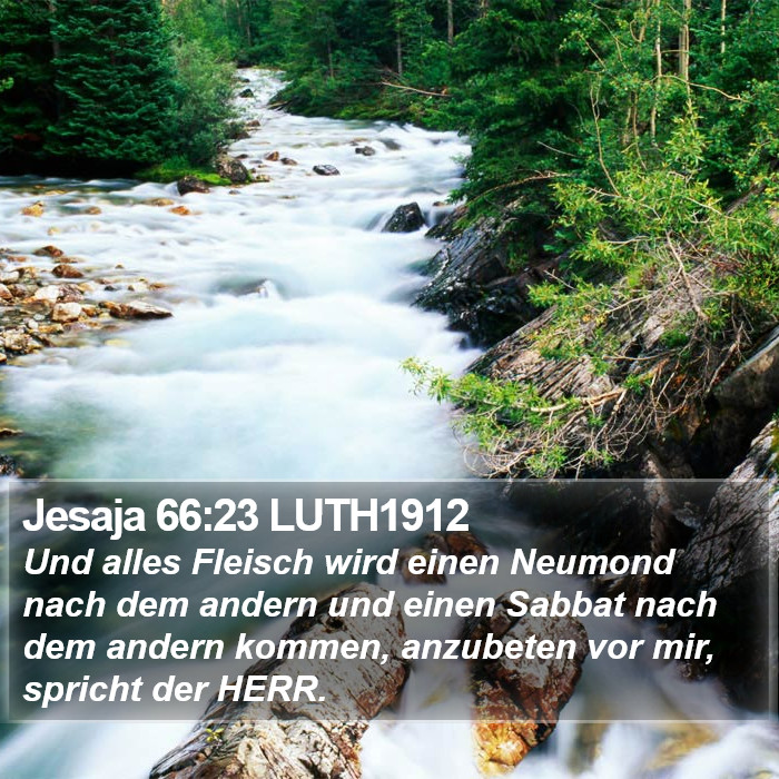 Jesaja 66:23 LUTH1912 Bible Study