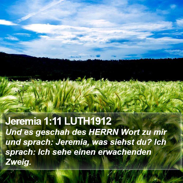 Jeremia 1:11 LUTH1912 Bible Study