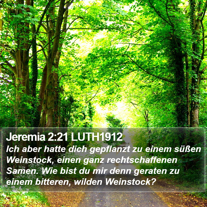 Jeremia 2:21 LUTH1912 Bible Study