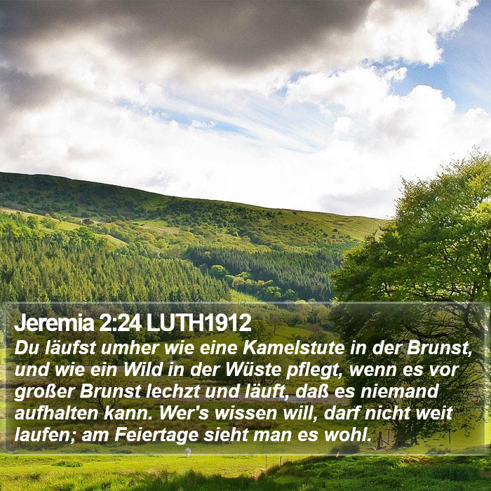 Jeremia 2:24 LUTH1912 Bible Study