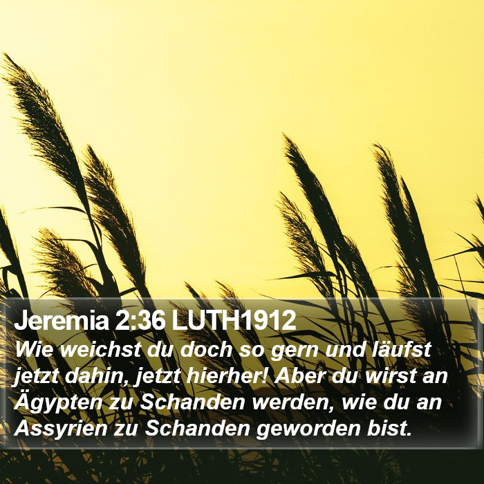 Jeremia 2:36 LUTH1912 Bible Study