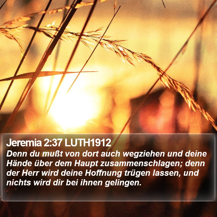 Jeremia 2:37 LUTH1912 Bible Study