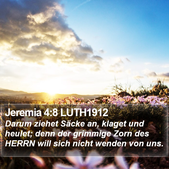 Jeremia 4:8 LUTH1912 Bible Study