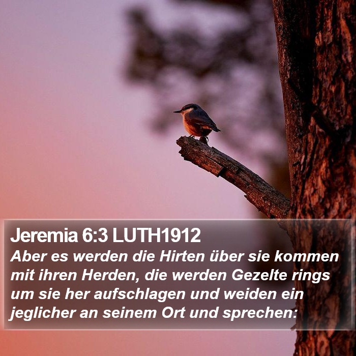 Jeremia 6:3 LUTH1912 Bible Study