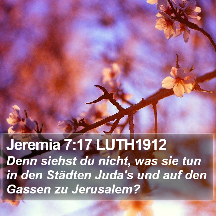 Jeremia 7:17 LUTH1912 Bible Study