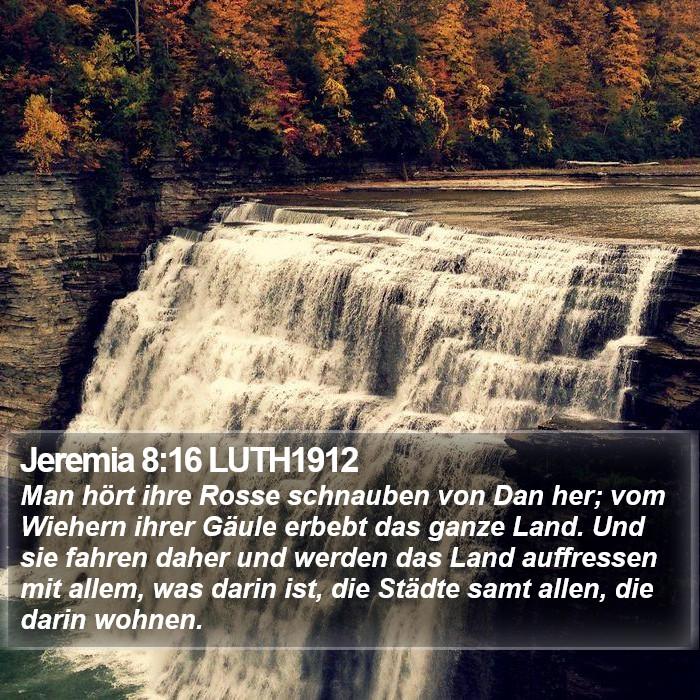 Jeremia 8:16 LUTH1912 Bible Study