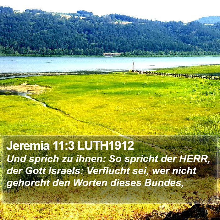 Jeremia 11:3 LUTH1912 Bible Study