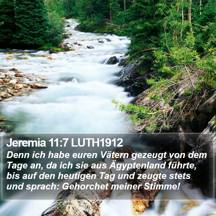 Jeremia 11:7 LUTH1912 Bible Study