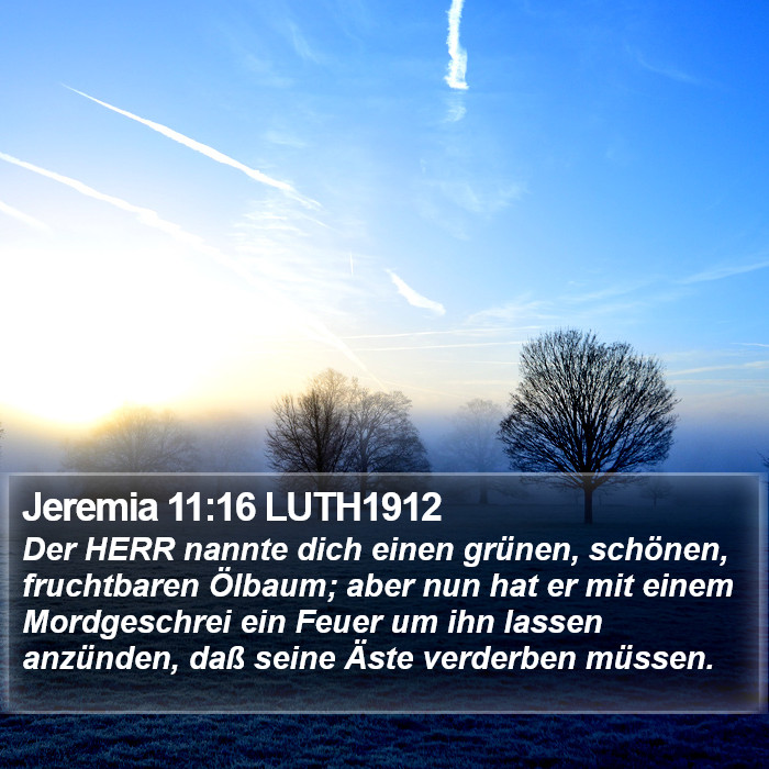 Jeremia 11:16 LUTH1912 Bible Study