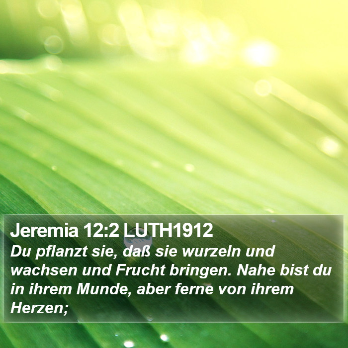 Jeremia 12:2 LUTH1912 Bible Study